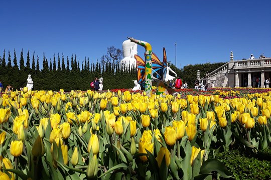 Tour image 6