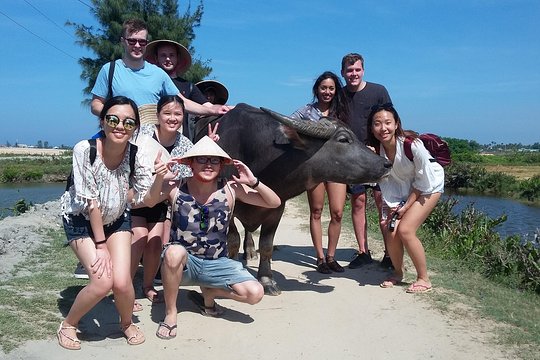 Tour image 6
