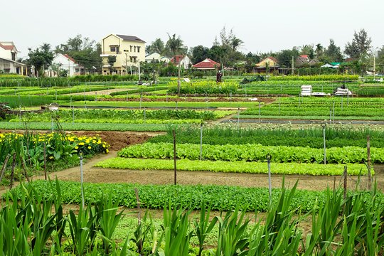 Tour image 9