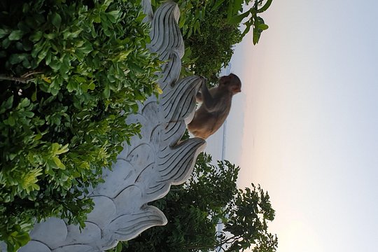 Tour image 10