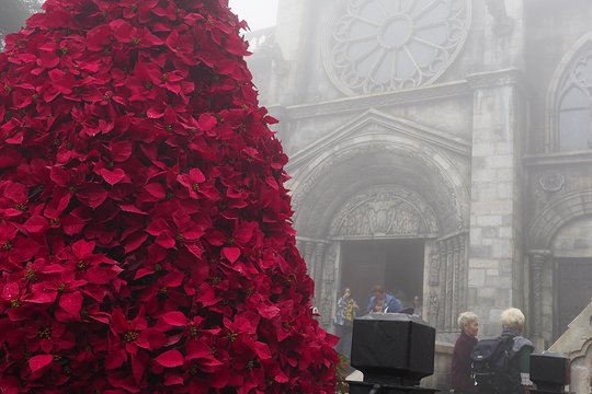 Tour image 8