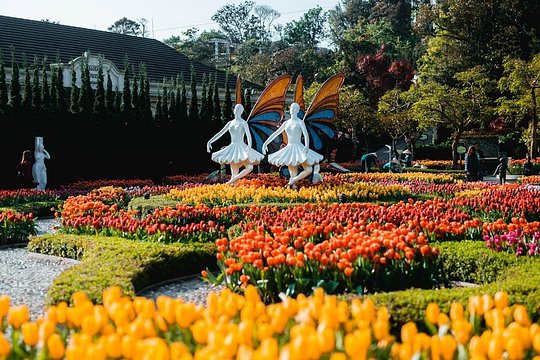 Tour image 10