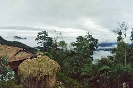 Tour image 5