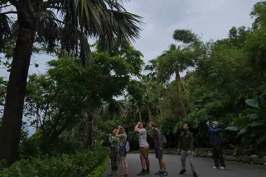 Tour image 8