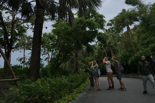 Tour image 9