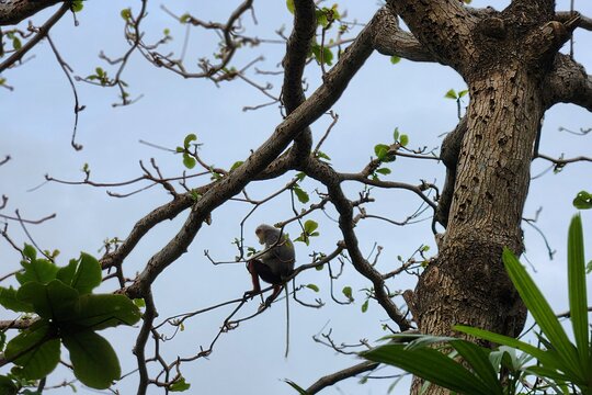 Tour image 10