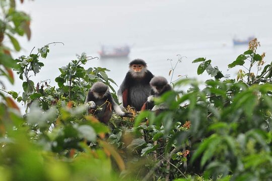 Tour image 11