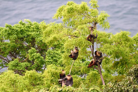Tour image 1